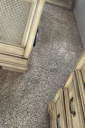 PJ Rug Cleaners Carpet Cleaning in Laguna Hills
