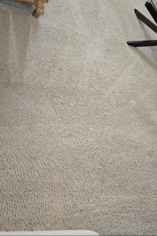 PJ Rug Cleaners PJ Rug Cleaners